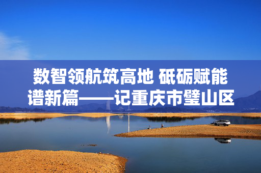 数智领航筑高地 砥砺赋能谱新篇——记重庆市璧山区大数据发展局局长李华