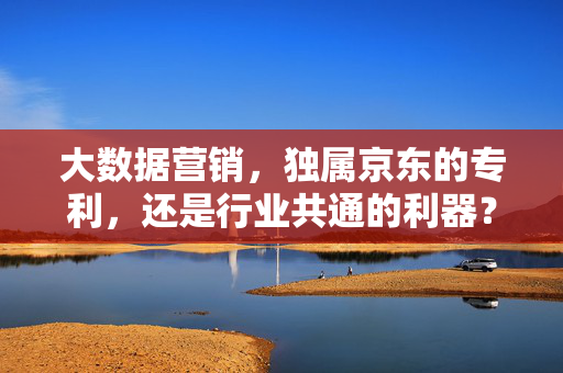 大数据营销，独属京东的专利，还是行业共通的利器？大数据营销，企业专利还是行业共器？