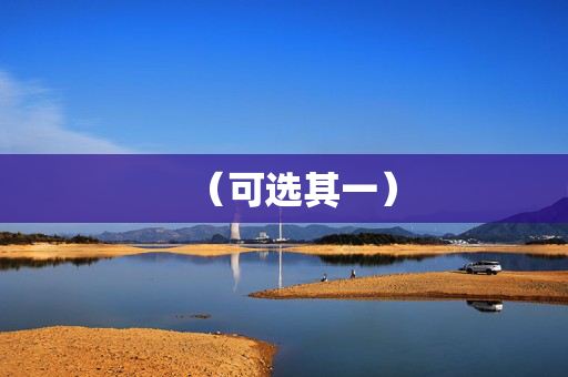 （可选其一）