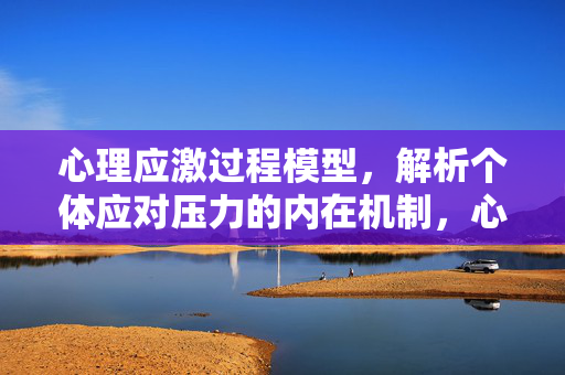 心理应激过程模型，解析个体应对压力的内在机制，心理应激过程模型，解析个体应对压力的内在机制