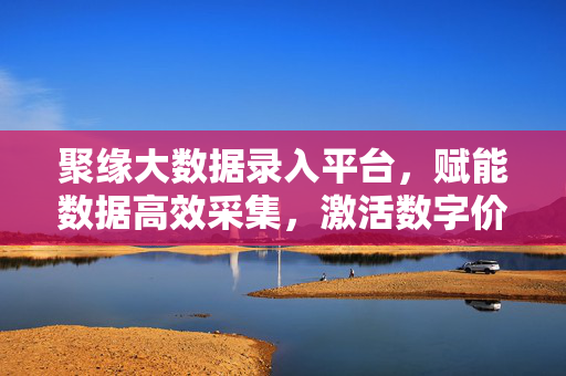 聚缘大数据录入平台，赋能数据高效采集，激活数字价值新引擎，聚缘大数据录入平台，赋能高效采集，激活数字价值新引擎