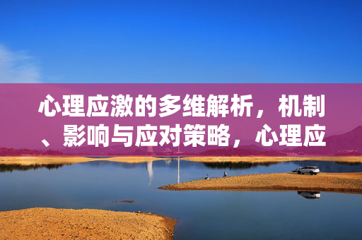 心理应激的多维解析，机制、影响与应对策略，心理应激的多维解析，机制、影响与应对策略