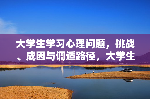 大学生学习心理问题，挑战、成因与调适路径，大学生学习心理问题，挑战、成因与调适路径