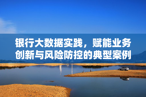 银行大数据实践，赋能业务创新与风险防控的典型案例分析，银行大数据赋能业务创新与风险防控的典型案例分析