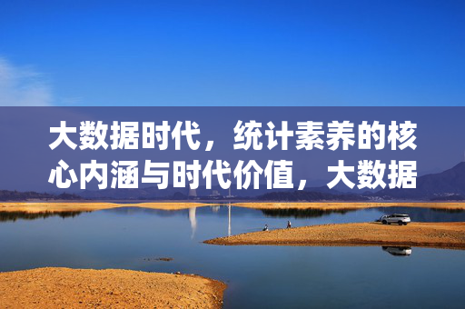 大数据时代，统计素养的核心内涵与时代价值，大数据时代统计素养的核心内涵与时代价值
