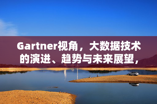 Gartner视角，大数据技术的演进、趋势与未来展望，Gartner视角，大数据技术的演进、趋势与未来展望