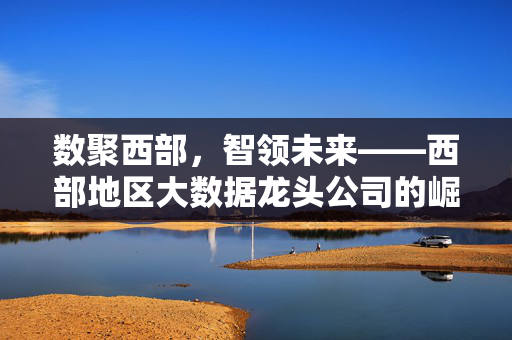 数聚西部,智领未来——西部地区大数据龙头公司的崛起与担当,数聚西部,智领未来——西部大数据龙头的崛起与担当