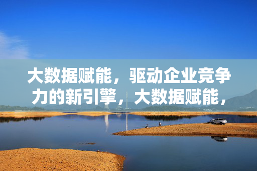 大数据赋能，驱动企业竞争力的新引擎，大数据赋能，企业竞争力的新引擎