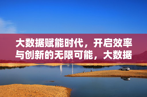 大数据赋能时代，开启效率与创新的无限可能，大数据赋能，效率与创新的无限可能