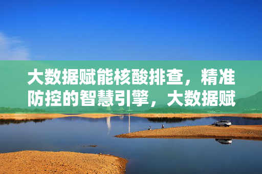 大数据赋能核酸排查，精准防控的智慧引擎，大数据赋能核酸排查，精准防控的智慧引擎
