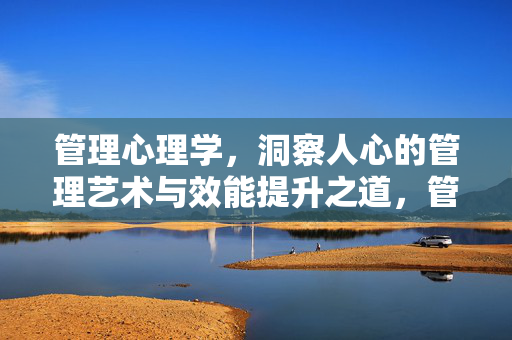 管理心理学，洞察人心的管理艺术与效能提升之道，管理心理学，洞察人心的管理艺术与效能提升之道