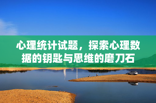 心理统计试题，探索心理数据的钥匙与思维的磨刀石