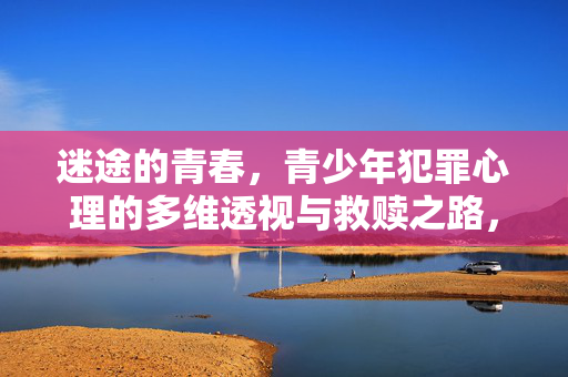 迷途的青春，青少年犯罪心理的多维透视与救赎之路，迷途青春，青少年犯罪心理的多维透视与救赎