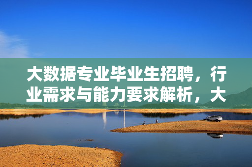 大数据专业毕业生招聘，行业需求与能力要求解析，大数据专业毕业生招聘，行业需求与能力要求解析