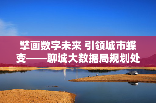 擘画数字未来 引领城市蝶变——聊城大数据局规划处的使命与担当，擘画数字未来 引领城市蝶变——聊城大数据局规划处的使命担当