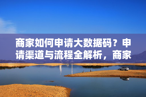 商家如何申请大数据码？申请渠道与流程全解析，商家申请大数据码，渠道与流程全解析