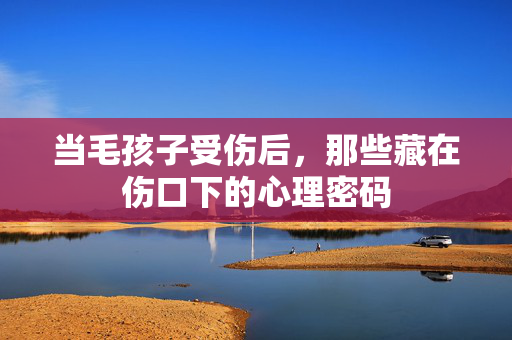 当毛孩子受伤后，那些藏在伤口下的心理密码