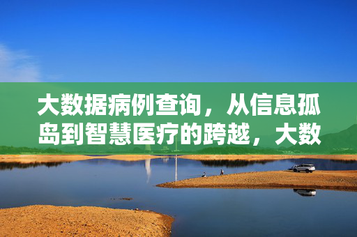 大数据病例查询，从信息孤岛到智慧医疗的跨越，大数据病例查询，跨越信息孤岛，迈向智慧医疗