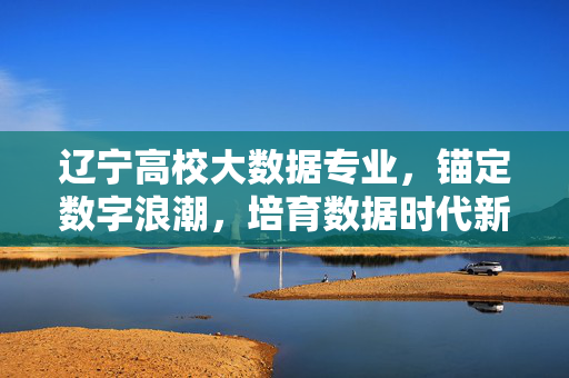 辽宁高校大数据专业，锚定数字浪潮，培育数据时代新引擎