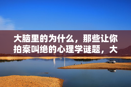 大脑里的为什么，那些让你拍案叫绝的心理学谜题，大脑里的为什么，拍案叫绝的心理学谜题