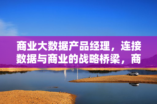 商业大数据产品经理，连接数据与商业的战略桥梁，商业大数据产品经理，数据与商业的战略桥梁