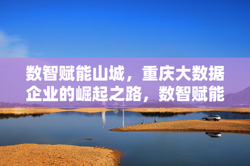 数智赋能山城，重庆大数据企业的崛起之路，数智赋能山城，重庆大数据企业崛起之路
