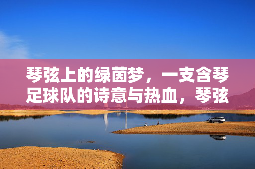 琴弦上的绿茵梦,一支含琴足球队的诗意与热血,琴弦上的绿茵梦,含琴足球队的诗意与热血