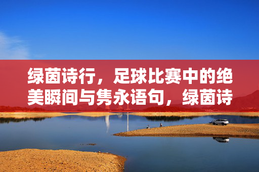 绿茵诗行，足球比赛中的绝美瞬间与隽永语句，绿茵诗行，绝美瞬间的隽永诗语