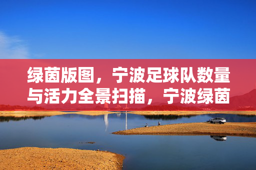 绿茵版图,宁波足球队数量与活力全景扫描,宁波绿茵版图,足球队数量与活力全景扫描