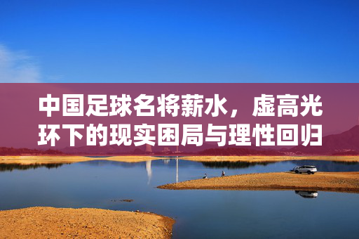 中国足球名将薪水,虚高光环下的现实困局与理性回归,中国足球名将薪水,虚高光环下的困局与理性回归