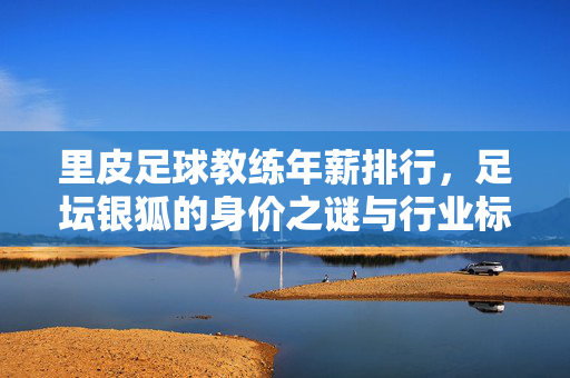 里皮足球教练年薪排行，足坛银狐的身价之谜与行业标杆，足坛银狐里皮，年薪排行与行业标杆身价之谜