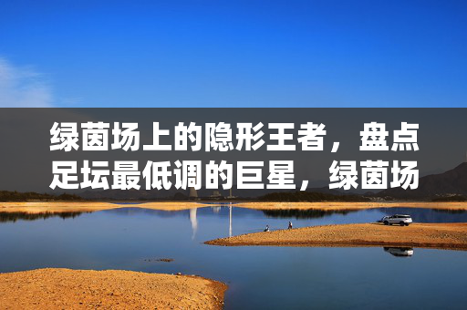 绿茵场上的隐形王者，盘点足坛最低调的巨星，绿茵场隐形王者，足坛最低调巨星