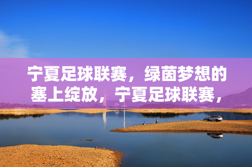 宁夏足球联赛，绿茵梦想的塞上绽放，宁夏足球联赛，绿茵梦想的塞上绽放