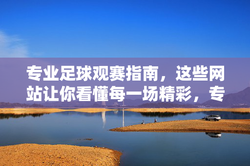 专业足球观赛指南,这些网站让你看懂每一场精彩,专业足球观赛指南,网站助你看懂每一场精彩