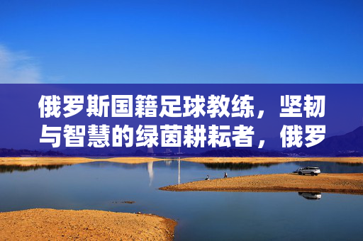 俄罗斯国籍足球教练，坚韧与智慧的绿茵耕耘者，俄罗斯足球教练，坚韧与智慧的绿茵耕耘者