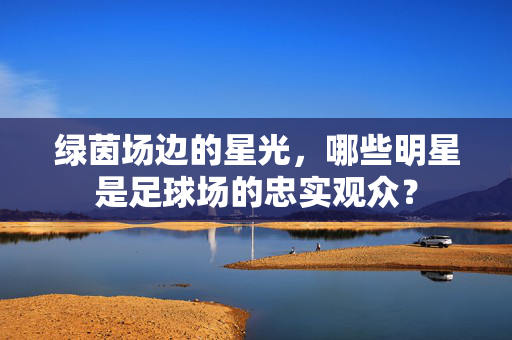 绿茵场边的星光，哪些明星是足球场的忠实观众？