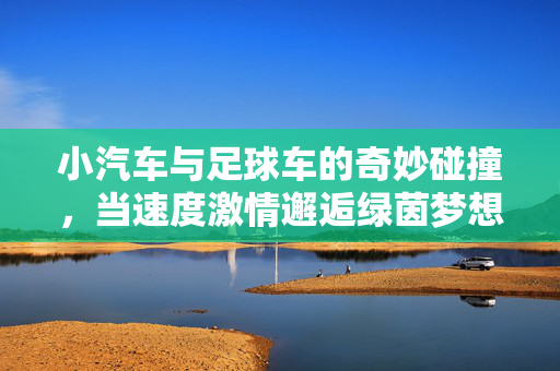 小汽车与足球车的奇妙碰撞，当速度激情邂逅绿茵梦想，小汽车与足球车，速度激情碰撞绿茵梦想