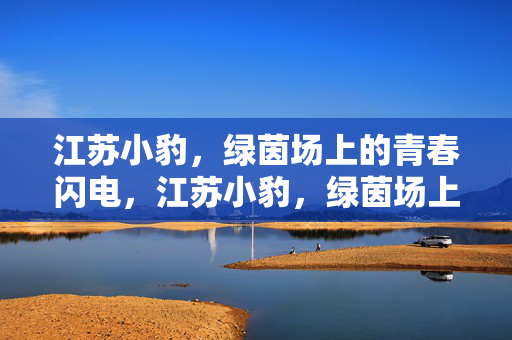 江苏小豹，绿茵场上的青春闪电，江苏小豹，绿茵场上的青春闪电