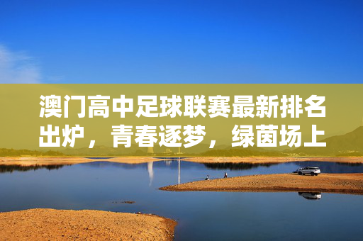 澳门高中足球联赛最新排名出炉，青春逐梦，绿茵场上的热血角逐，澳门高中足球联赛最新排名出炉，青春逐梦，绿茵角逐