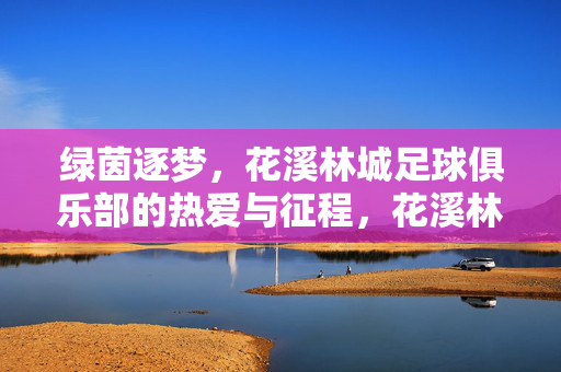 绿茵逐梦,花溪林城足球俱乐部的热爱与征程,花溪林城足球俱乐部,绿茵逐梦,热爱征程
