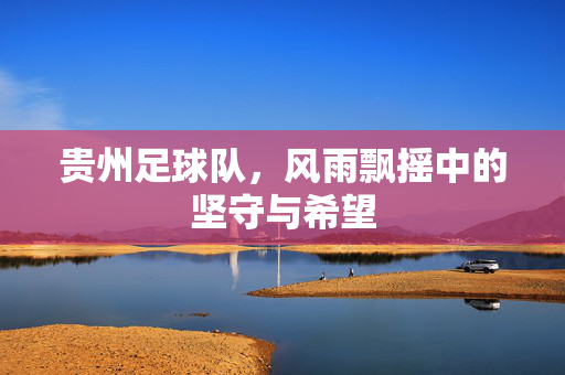 贵州足球队，风雨飘摇中的坚守与希望