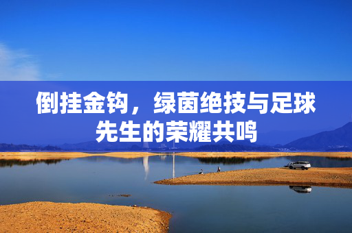 倒挂金钩，绿茵绝技与足球先生的荣耀共鸣