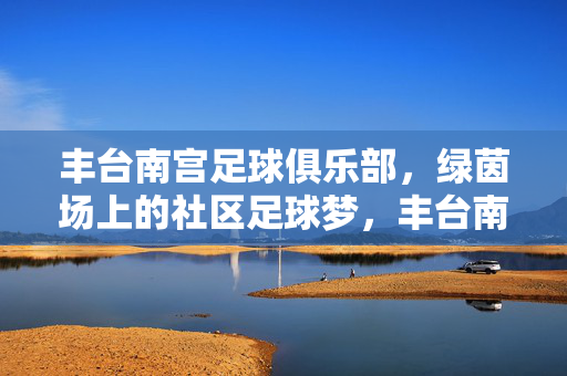 丰台南宫足球俱乐部,绿茵场上的社区足球梦,丰台南宫足球俱乐部,绿茵场上的社区足球梦