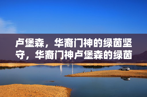 卢堡森，华裔门神的绿茵坚守，华裔门神卢堡森的绿茵坚守