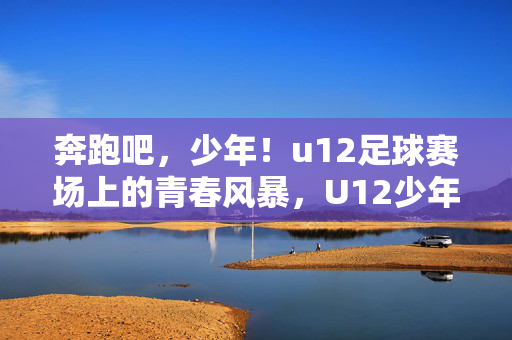 奔跑吧，少年！u12足球赛场上的青春风暴，U12少年足球赛场，青春风暴