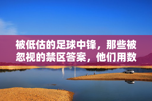 被低估的足球中锋,那些被忽视的禁区答案,他们用数据与征服证明价值,被低估的禁区答案,足球中锋的数据征服