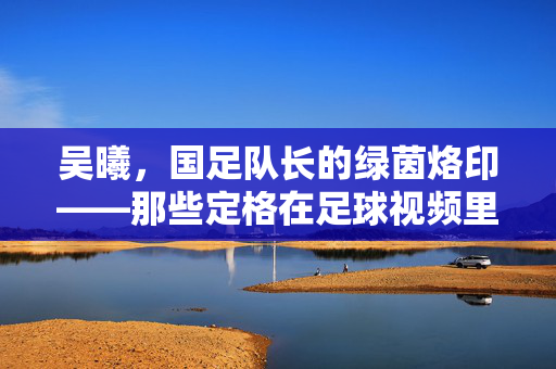吴曦，国足队长的绿茵烙印——那些定格在足球视频里的领袖时刻，吴曦，国足队长的绿茵烙印与领袖时刻