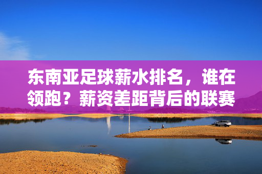 东南亚足球薪水排名，谁在领跑？薪资差距背后的联赛格局，东南亚足球薪水领跑者，薪资差距背后的联赛格局
