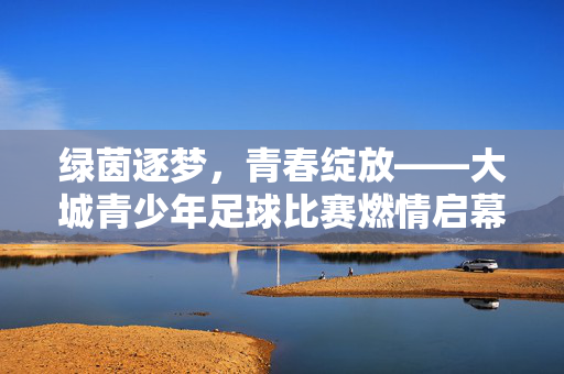 绿茵逐梦，青春绽放——大城青少年足球比赛燃情启幕，绿茵逐梦，青春绽放——大城青少年足球比赛燃情启幕