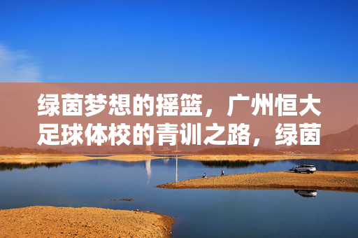 绿茵梦想的摇篮，广州恒大足球体校的青训之路，绿茵梦想摇篮，广州恒大足球体校青训之路